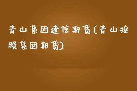 青山集信期货(青山控股集团期货)_https://www.zztgc.com_黄金期货_第1张