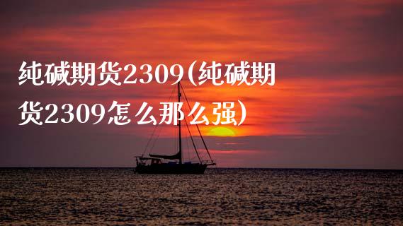 纯碱期货2309(纯碱期货2309怎么那么强)_https://www.zztgc.com_期货入门_第1张