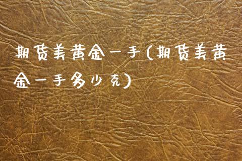 期货美黄金一手(期货美黄金一手多少克)_https://www.zztgc.com_期货行情_第1张