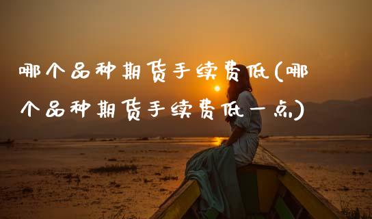 哪个品种期货手续费低(哪个品种期货手续费低一点)_https://www.zztgc.com_期货开户_第1张