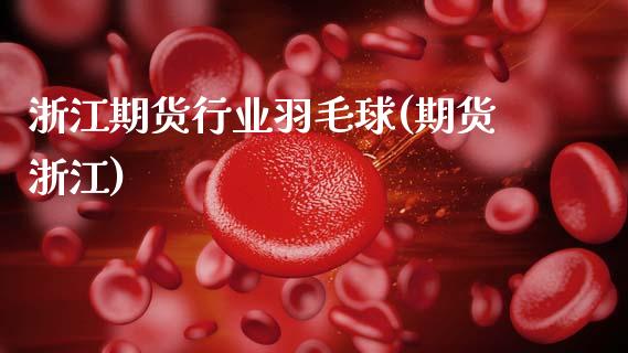 浙江期货行业羽毛球(期货浙江)_https://www.zztgc.com_期货行情_第1张