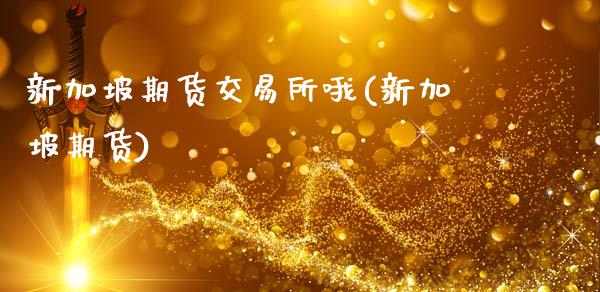 新加坡期货交易所哦(新加坡期货)_https://www.zztgc.com_原油期货_第1张