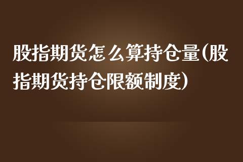 股指期货怎么算持仓量(股指期货持仓限额制度)_https://www.zztgc.com_期货行情_第1张