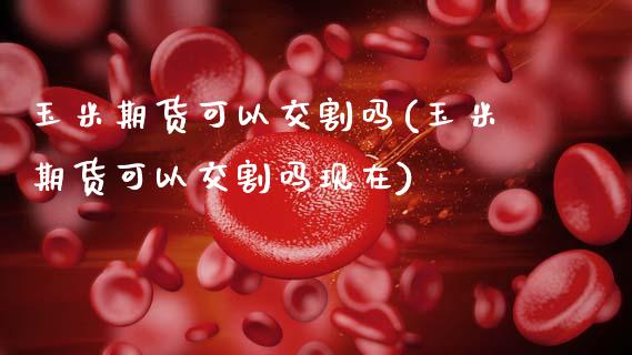 玉米期货可以交割吗(玉米期货可以交割吗现在)_https://www.zztgc.com_期货入门_第1张