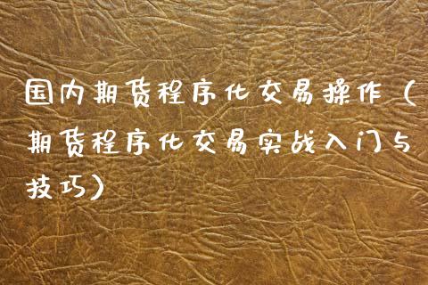 国内期货程序化交易操作（期货程序化交易实战入门与技巧）_https://www.zztgc.com_期货入门_第1张