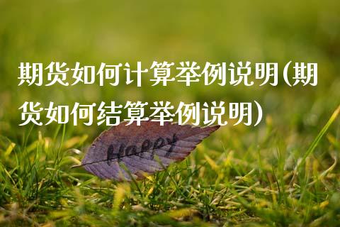 期货如何计算举例说明(期货如何结算举例说明)_https://www.zztgc.com_期货入门_第1张