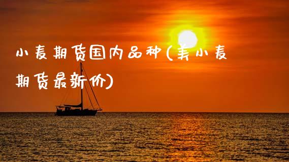 小麦期货国内品种(美小麦期货最新价)_https://www.zztgc.com_黄金期货_第1张