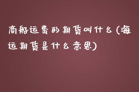 商船运费的期货叫什么(海运期货是什么意思)_https://www.zztgc.com_期货行情_第1张