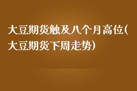 大豆期货触及八个月高位(大豆期货下周走势)_https://www.zztgc.com_期货直播_第1张