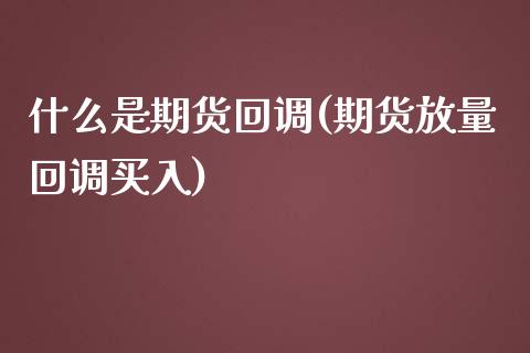 什么是期货回调(期货放量回调买入)_https://www.zztgc.com_期货直播_第1张
