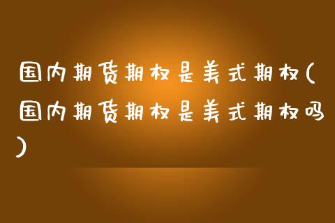 国内期货期权是美式期权(国内期货期权是美式期权吗)_https://www.zztgc.com_期货入门_第1张