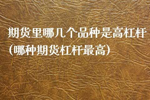 期货里哪几个品种是高杠杆(哪种期货杠杆最高)_https://www.zztgc.com_期货入门_第1张