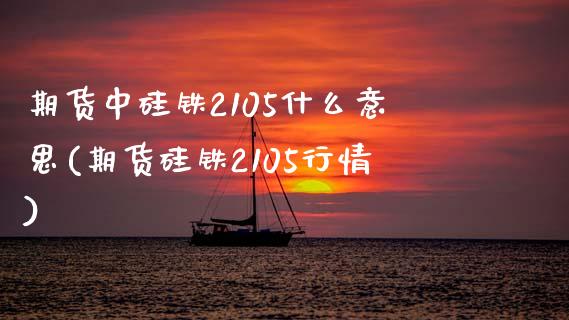 期货中硅铁2105什么意思(期货硅铁2105行情)_https://www.zztgc.com_期货直播_第1张