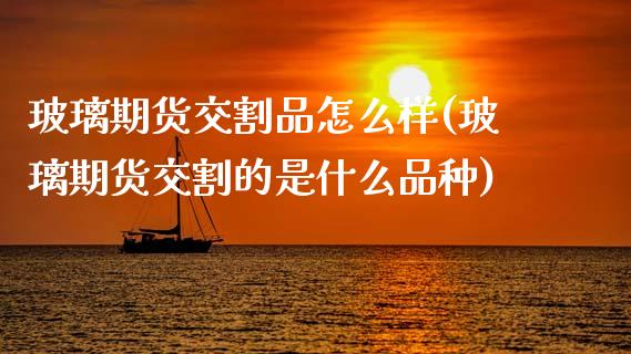 玻璃期货交割品怎么样(玻璃期货交割的是什么品种)_https://www.zztgc.com_期货直播_第1张
