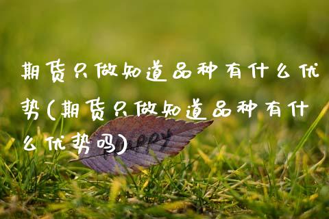 期货只做知道品种有什么优势(期货只做知道品种有什么优势吗)_https://www.zztgc.com_期货入门_第1张