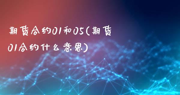 期货合约01和05(期货01合约什么意思)_https://www.zztgc.com_期货直播_第1张