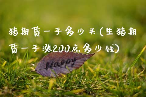 猪期货一手多少头(生猪期货一手涨200点多少钱)_https://www.zztgc.com_期货直播_第1张