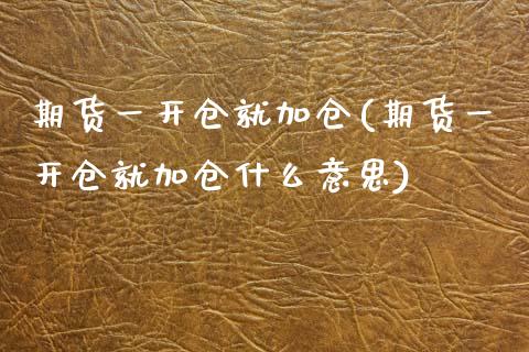期货一开仓就加仓(期货一开仓就加仓什么意思)_https://www.zztgc.com_黄金期货_第1张