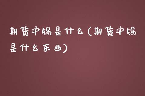 期货沪锡是什么(期货沪锡是什么东西)_https://www.zztgc.com_期货行情_第1张