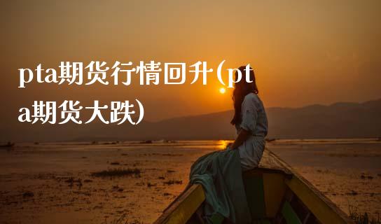 pta期货行情回升(pta期货大跌)_https://www.zztgc.com_期货直播_第1张