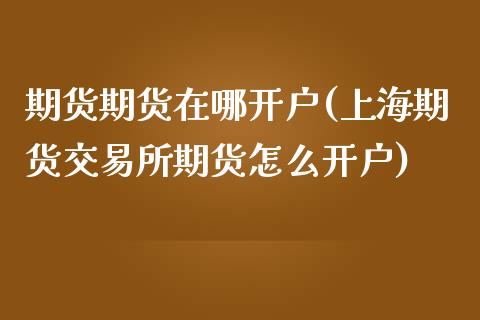 期货期货在哪开户(上海期货交易所期货怎么开户)_https://www.zztgc.com_期货行情_第1张