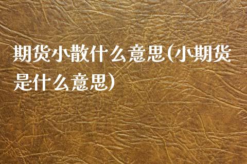 期货小散什么意思(小期货是什么意思)_https://www.zztgc.com_期货入门_第1张
