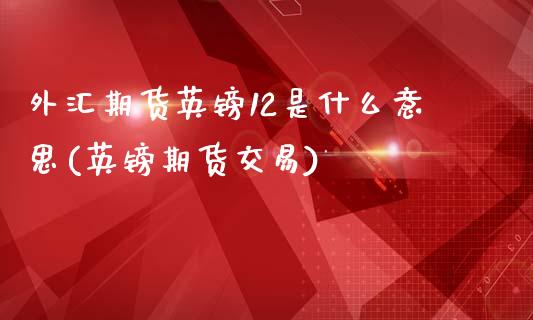 外汇期货英镑12是什么意思(英镑期货交易)_https://www.zztgc.com_期货入门_第1张