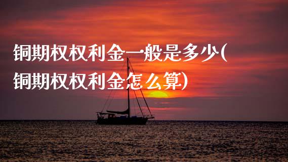 铜期权权利金一般是多少(铜期权权利金怎么算)_https://www.zztgc.com_原油期货_第1张