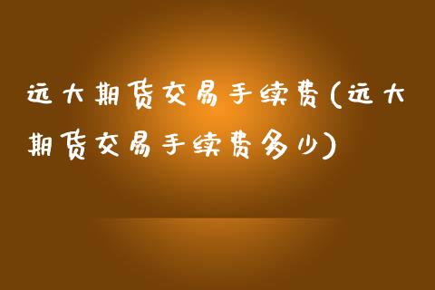 远大期货交易手续费(远大期货交易手续费多少)_https://www.zztgc.com_黄金期货_第1张