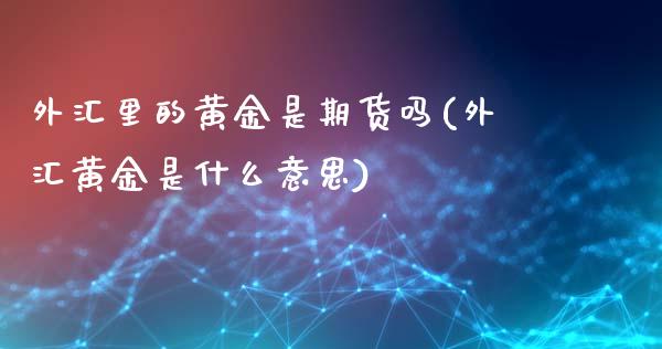 外汇里的黄金是期货吗(外汇黄金是什么意思)_https://www.zztgc.com_期货入门_第1张