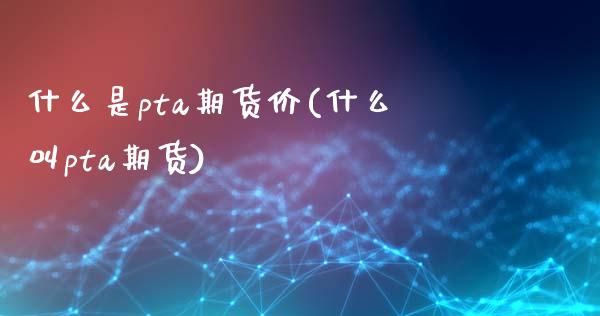 什么是pta期货价(什么叫pta期货)_https://www.zztgc.com_期货直播_第1张