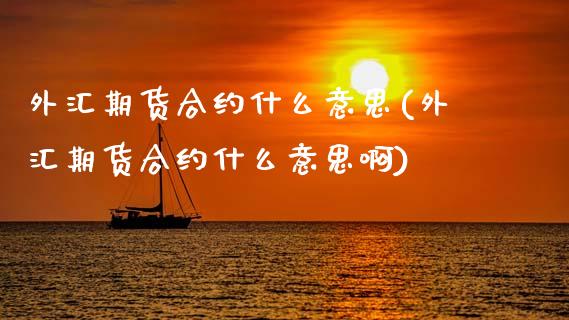 外汇期货合约什么意思(外汇期货合约什么意思啊)_https://www.zztgc.com_期货入门_第1张