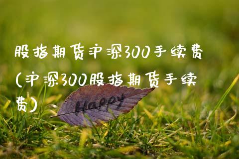 股指期货沪深300手续费(沪深300股指期货手续费)_https://www.zztgc.com_期货入门_第1张