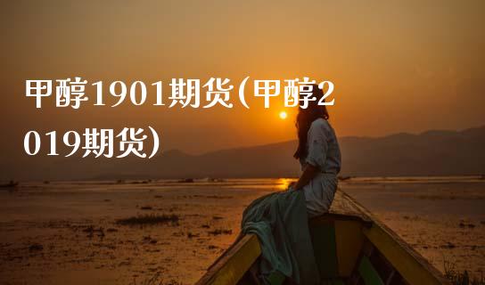 甲醇1901期货(甲醇2019期货)_https://www.zztgc.com_期货行情_第1张