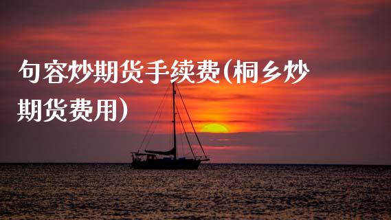 句容炒期货手续费(桐乡炒期货费用)_https://www.zztgc.com_期货行情_第1张
