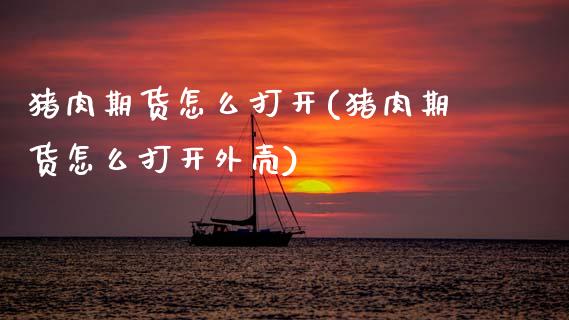 猪肉期货怎么打开(猪肉期货怎么打开外壳)_https://www.zztgc.com_期货入门_第1张