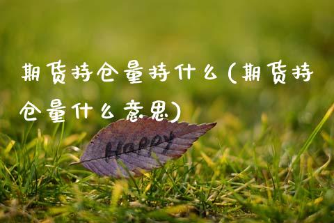 期货持仓量持什么(期货持仓量什么意思)_https://www.zztgc.com_黄金期货_第1张