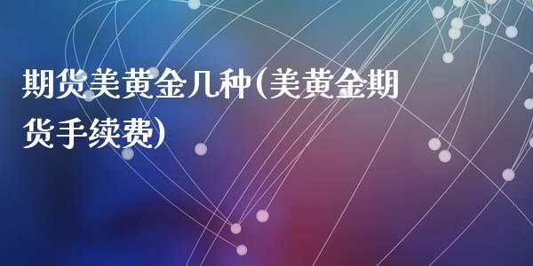 期货美黄金几种(美黄金期货手续费)_https://www.zztgc.com_期货直播_第1张