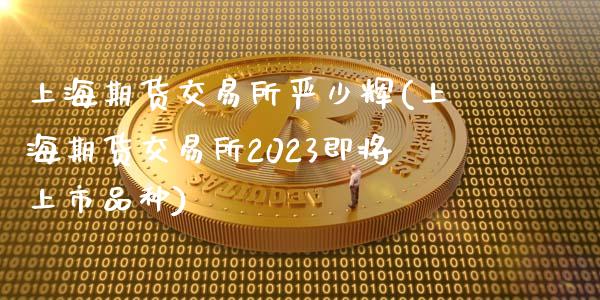 上海期货交易所严少辉(上海期货交易所2023即将上市品种)_https://www.zztgc.com_期货直播_第1张