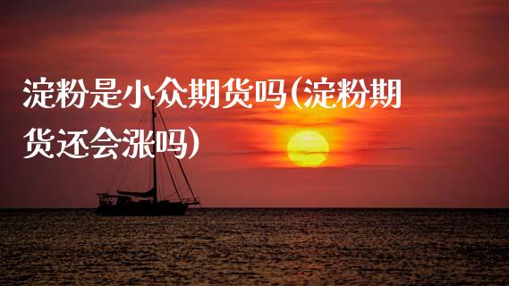淀粉是小众期货吗(淀粉期货还会涨吗)_https://www.zztgc.com_期货入门_第1张