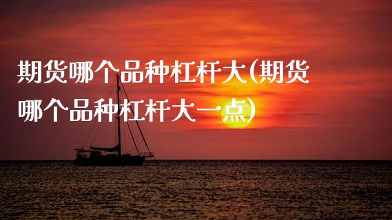 期货哪个品种杠杆大(期货哪个品种杠杆大一点)_https://www.zztgc.com_原油期货_第1张