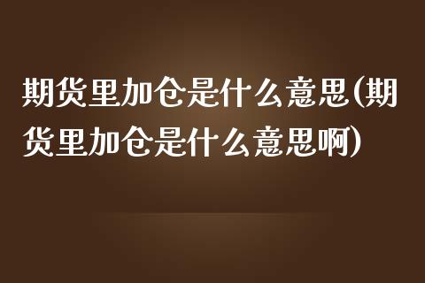 期货里加仓是什么意思(期货里加仓是什么意思啊)_https://www.zztgc.com_黄金期货_第1张