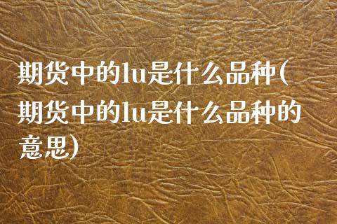 期货中的lu是什么品种(期货中的lu是什么品种的意思)_期货行情_第1张_珍投期货网 期货中的lu是什么品种(期货中的lu是什么品种的意思)_https://www.zztgc.com_期货行情_第1张