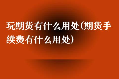 玩期货有什么用处(期货手续费有什么用处)_https://www.zztgc.com_期货行情_第1张