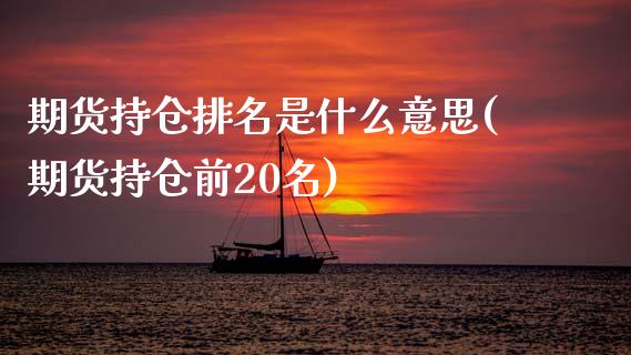 期货持仓排名是什么意思(期货持仓前20名)_https://www.zztgc.com_期货入门_第1张