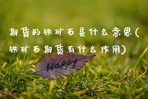 期货的铁矿石是什么意思(铁矿石期货有什么作用)_https://www.zztgc.com_期货直播_第1张