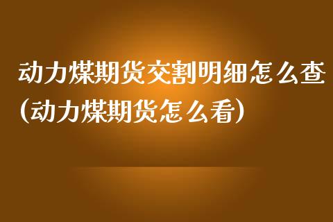 动力煤期货交割明细怎么查(动力煤期货怎么看)_https://www.zztgc.com_黄金期货_第1张