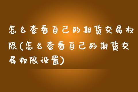 怎么查看自己的期货交易权限(怎么查看自己的期货交易权限设置)_https://www.zztgc.com_黄金期货_第1张