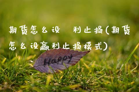 期货怎么设贏利止损(期货怎么设赢利止损模式)_期货直播_第1张_珍投期货网 期货怎么设贏利止损(期货怎么设赢利止损模式)_https://www.zztgc.com_期货直播_第1张