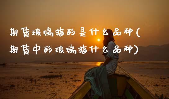 期货玻璃指的是什么品种(期货中的玻璃指什么品种)_https://www.zztgc.com_期货直播_第1张